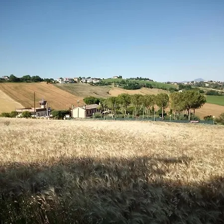 Flli Rossi