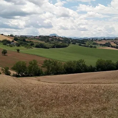 Flli Rossi Filottrano