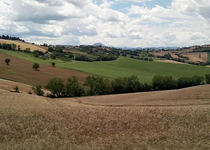 Flli Rossi Filottrano